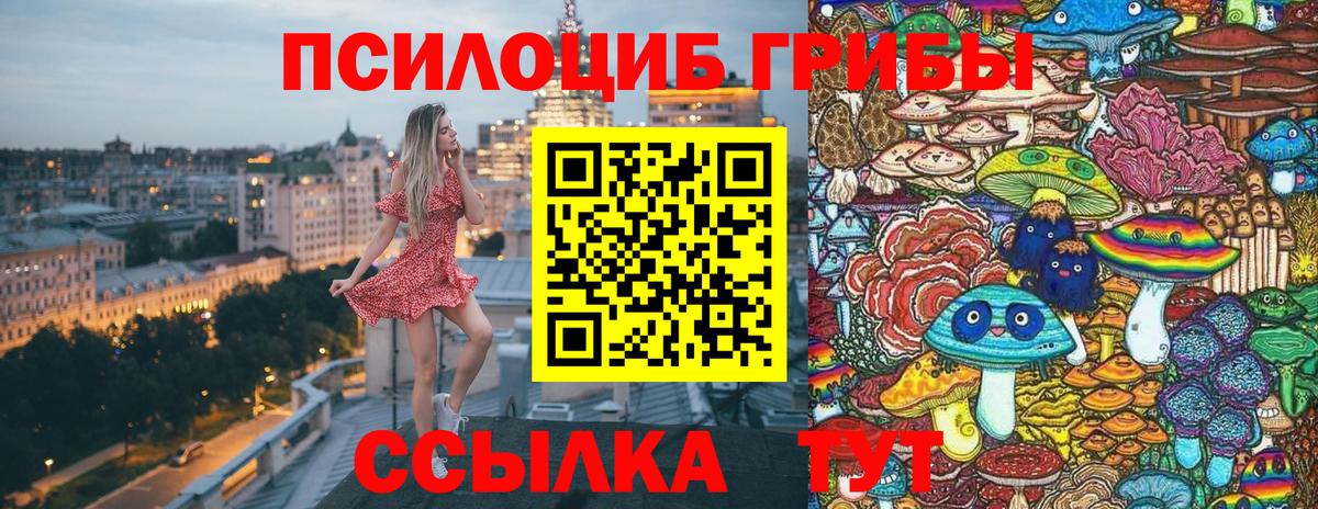 Щёкино  Псилоцибиновые грибы Psilocybine cubensis  Вход с VPN 